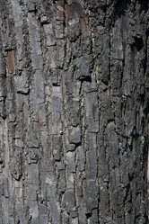 Similar image 637320