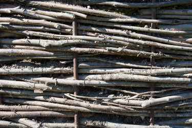 Similar image 637322