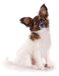 Similar image 637343