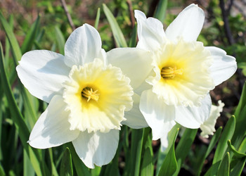 Similar image 637362