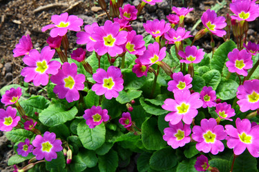 Similar image 637366