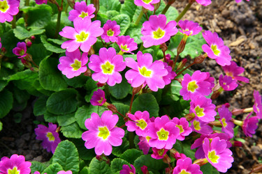 Similar image 637367