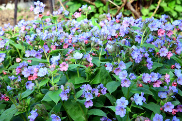 Similar image 637370