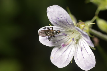 Similar image 637420