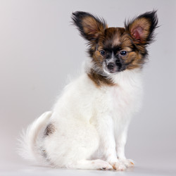 Similar image 637462