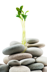 Similar image 637471