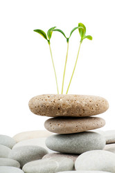 Similar image 637473