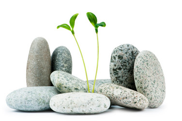 Similar image 637474