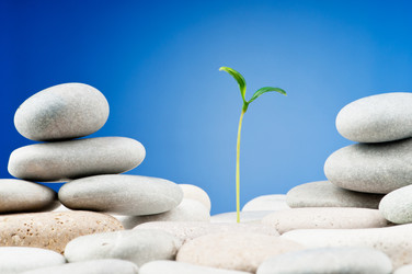 Similar image 637476