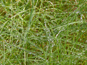 Similar image 637482