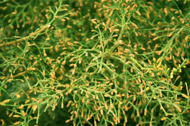 Similar image 637483