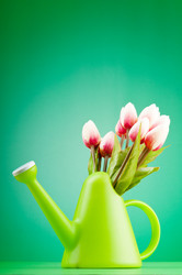 Similar image 637488