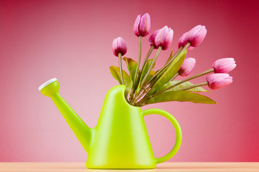 Similar image 637489