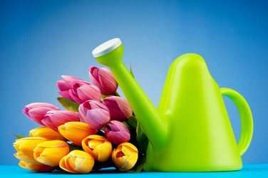 Similar image 637491