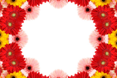 Similar image 637541