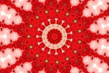 Similar image 637547