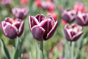 Similar image 637577