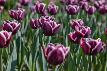 Similar image 637579