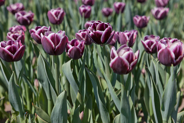 Similar image 637581