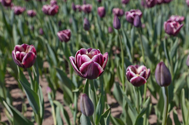 Similar image 637583