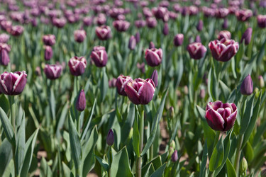 Similar image 637586