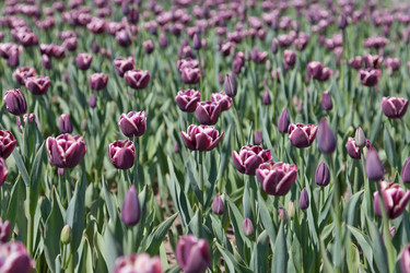 Similar image 637588