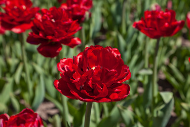 Similar image 637590