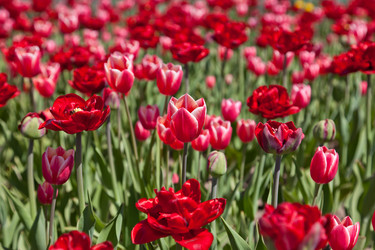 Similar image 637594