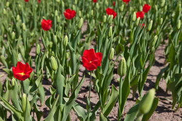 Similar image 637596