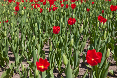 Similar image 637597