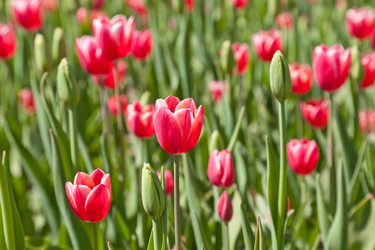 Similar image 637599