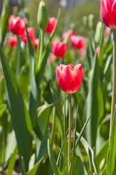 Similar image 637600