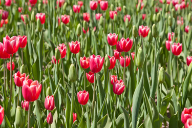 Similar image 637602