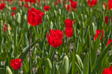 Similar image 637604