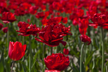 Similar image 637606