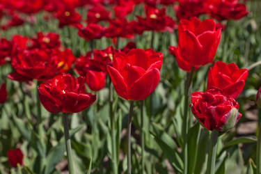 Similar image 637607