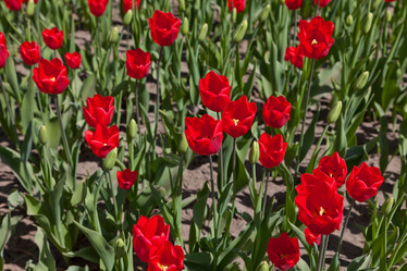 Similar image 637609