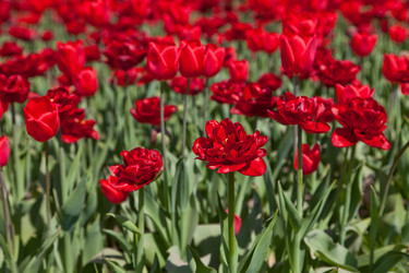 Similar image 637610