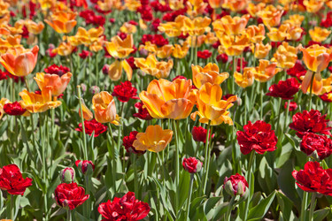 Similar image 637614