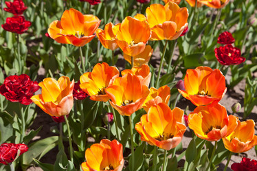 Similar image 637615