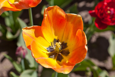 Similar image 637617