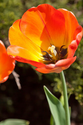 Similar image 637621