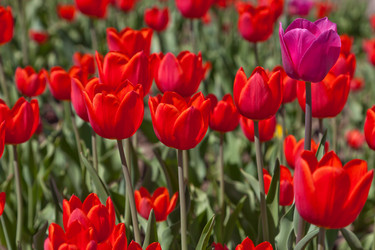 Similar image 637622