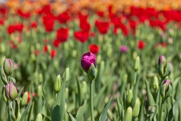 Similar image 637624