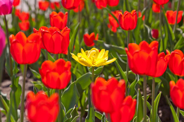 Similar image 637629