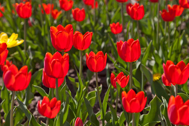 Similar image 637630