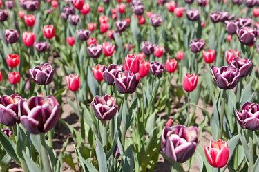 Similar image 637631