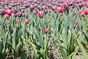 Similar image 637632