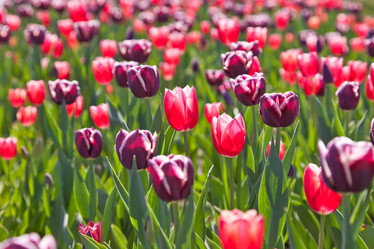 Similar image 637634