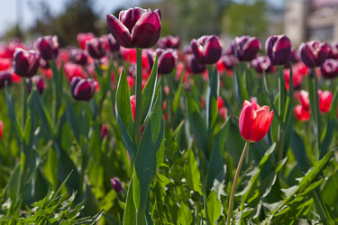 Similar image 637635